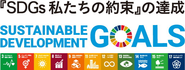『SDGs 私たちの約束』の達成